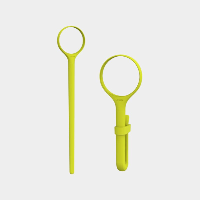 Tige grise 30 cm pour Caméra Lollipop