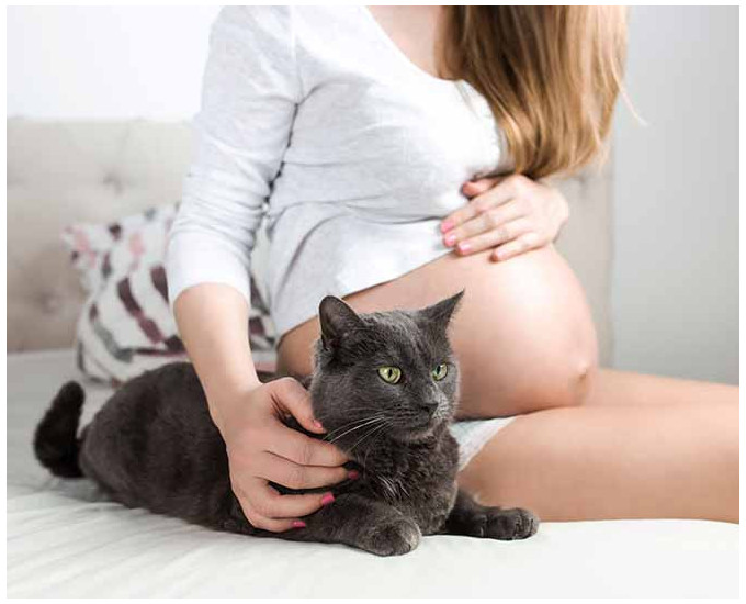 ¿Cuáles son los síntomas de la toxoplasmosis?