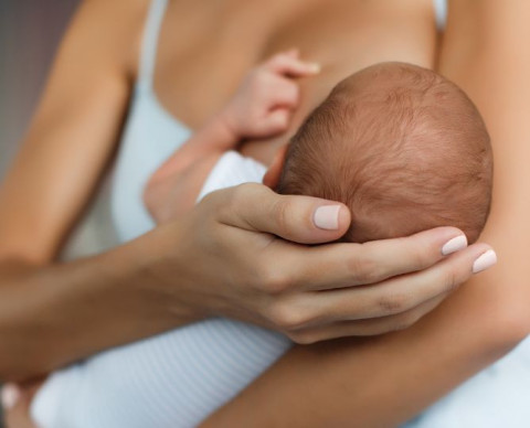 La vérité sur le sommeil des bébés allaités